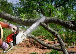 Landscape Design and Installation in Kenilworth, NJ